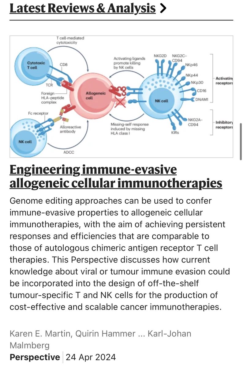 In this article, we provide a brief perspective of the promise of allogeneic cell therapies against cancer. We consider rejection by the recipient as a central pitfall and discuss approaches to reduce this rejection by genetic engineering nature.com/articles/s4157…