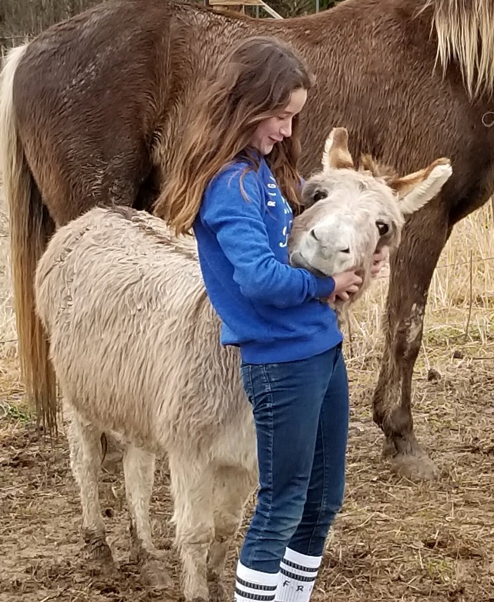 We haven't had a donation in several days..... Please help if you can. I'm not a politician, I am actually doing the work healing and saving lives. Plus, showing the results. Equine therapy is the BEST therapy out there. People should throw money at us because what we do for one…