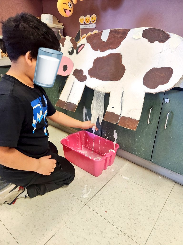 MsSingh209's tweet photo. Our milk inquiry @LambtonParkTDSB Where does milk come from? Grass to milk. @tdsb @EarlyYearsTDSB https://t.co/GRllO9JzJj