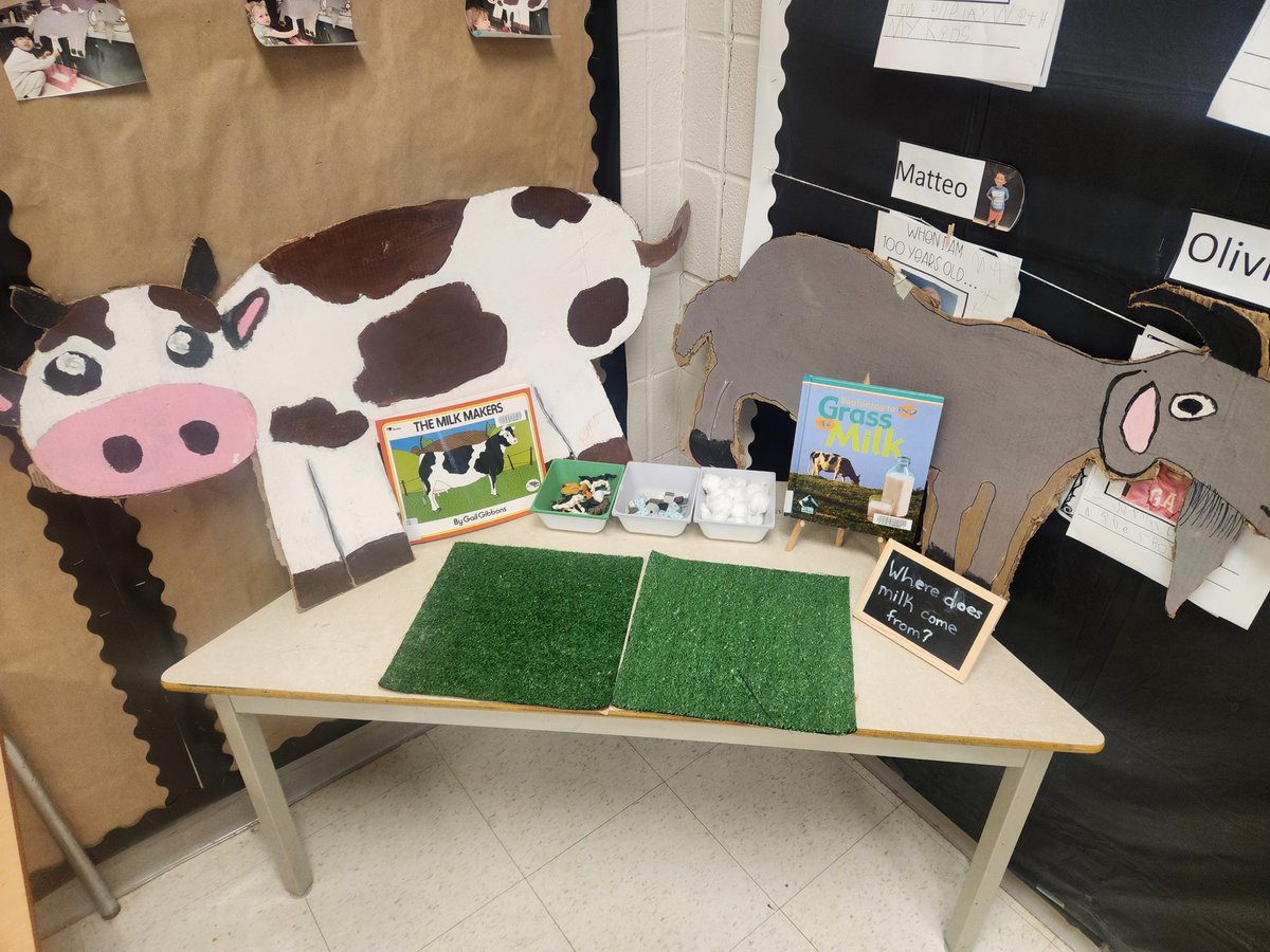 MsSingh209's tweet photo. Our milk inquiry @LambtonParkTDSB Where does milk come from? Grass to milk. @tdsb @EarlyYearsTDSB https://t.co/GRllO9JzJj