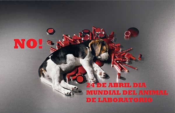 📅 24 de abril
.
.
Día Internacional del Animal de Laboratorio
.
.
Concientizá.
Hacete vegan.
Por los animales.
Por el 🌏
.
Lo que hacemos a diario impacta en él.
.
#LibreDeCrueldad #CrueltyFree #govegan
.