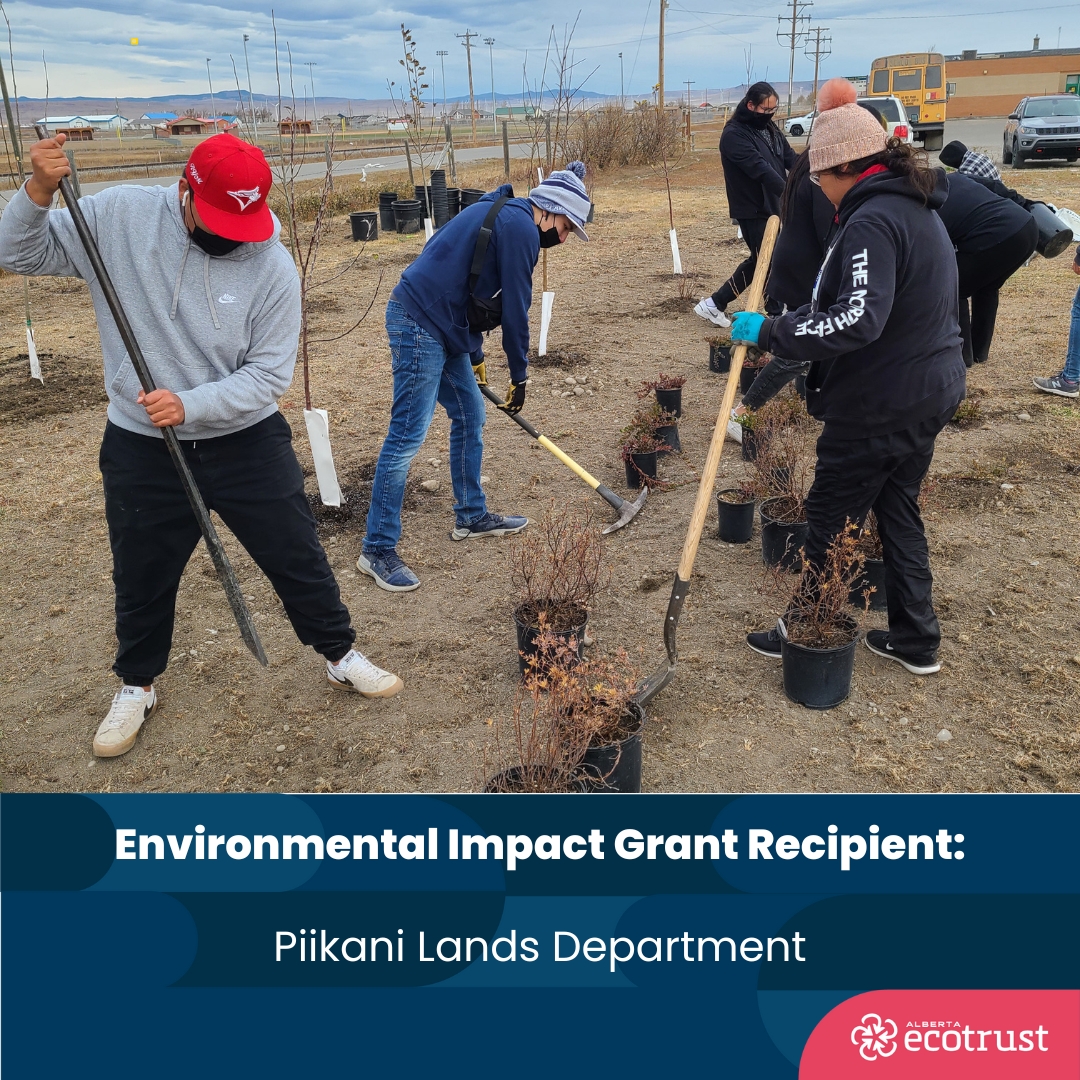 We are proud to announce the grantees of this year's Environmental Impact Grant. Here are the Climate Resilience & Circular Economy grantees: @BVBiosphere @RelayEducation Piikani Lands Department Read the full story here: albertaecotrust.com/news/environme…