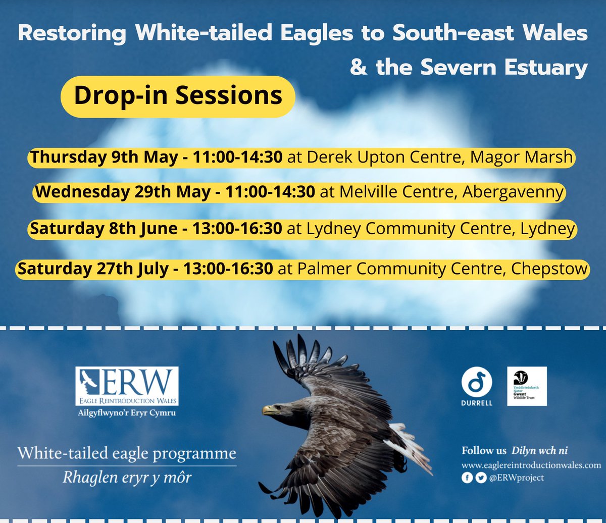Want to learn more about the return of White-tailed Eagles? - Now’s your chance! 🦅🏴󠁧󠁢󠁷󠁬󠁳󠁿 We are hosting four public drop-in sessions across South-east Wales & Severn Estuary. Make sure you drop-in to say hello, show your support or express your concerns! 👍💬👎