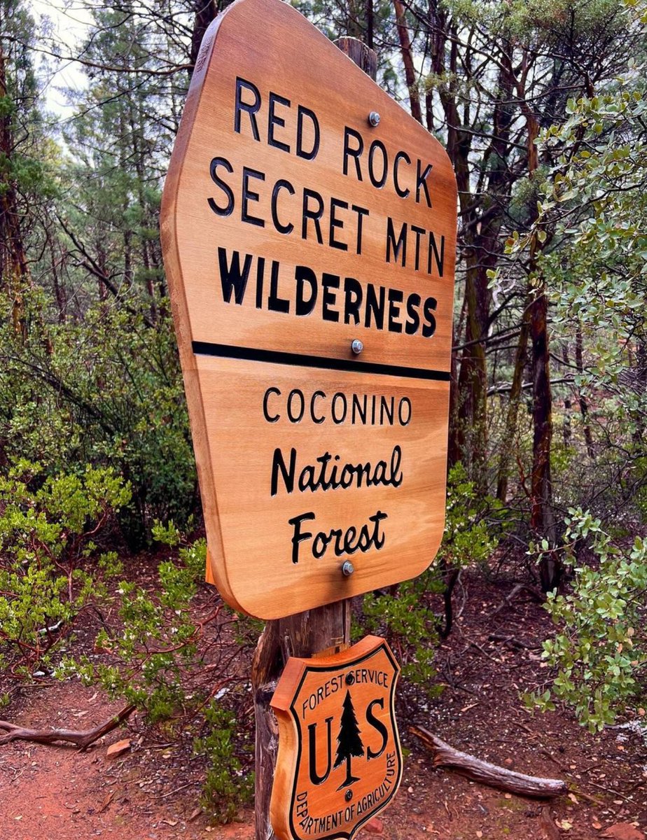 SedonaDotOrg's tweet photo. Embark on an adventure into the heart of Sedona's hidden gem – the Red Rock Secret Mountain Wilderness! 🏞️✨

Immerse yourself in the rugged beauty of towering sandstone cliffs, lush forests, and secluded canyons.🌿🌄

@vanessa_rosanne

#VisitSedona #BookDirect #SedonaArizona https://t.co/hGMD13Qb37