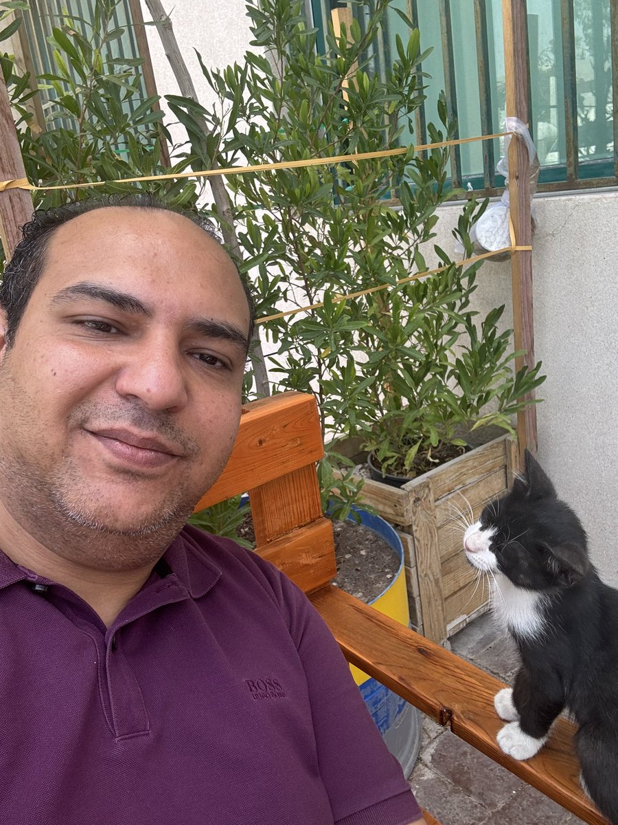 karim elshazly tweet media