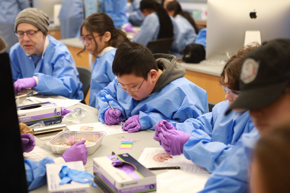 Yale Neuroscience tweet media