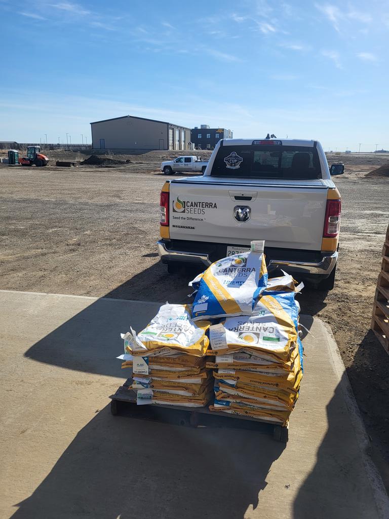 Shout out to the <a href="/HawksAgro/">Hawk's Agro</a> <a href="/CropWatch/">Hawks Agronomy</a> Team for including <a href="/canterraseeds/">CANTERRA SEEDS</a> #CS4000LL #Pelta &amp; new LL experimentals in their MegaPlots!!! Bring on the rain so these babies #bushelup #plant24 #westcdnag #canola