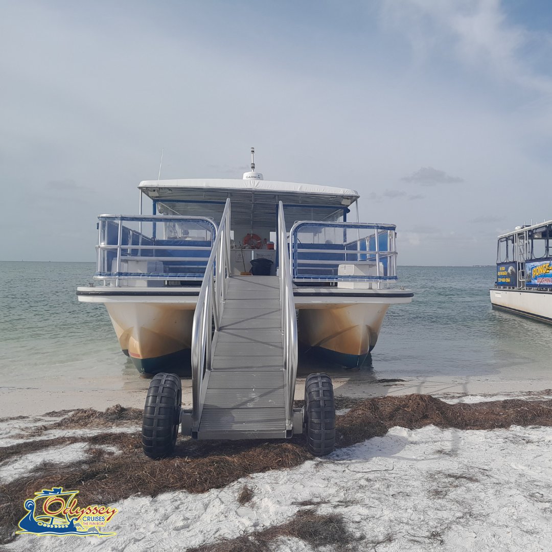 Odyssey Cruises (@odysseycruises) / Posts / X