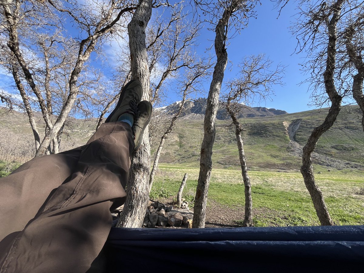 Inaugural hammock #MountainOffice of the season to finish off the pile of awards and funding application judging and ranking. The local avian population doesn’t seem to be thrilled about my presence though. 🤷‍♂️