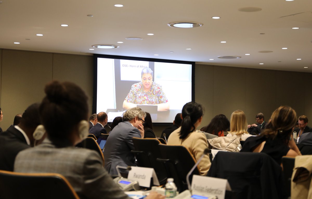 .@HannaTetteh, speaking from Addis Ababa, highlighted the crucial impact of extra-budgetary contributions through DPPA's Multi-Year Appeal on her work in the Horn of Africa, supporting peace processes, climate security initiatives, and advancing #WPS agenda. @OSE_HoA #SupportDPPA