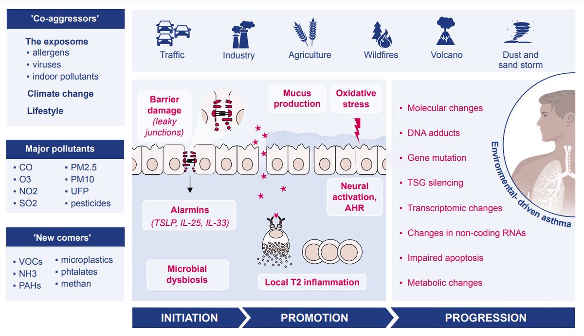 EAACI guidelines on environmental science for allergy and asthma: The impact of short-term exposure to outdoor air pollutants on asthma-related outcomes and recommendations for mitigation measures. Corresponding authors: Ioana Agache, Marek Jutel and Cezmi Akdis Read the article