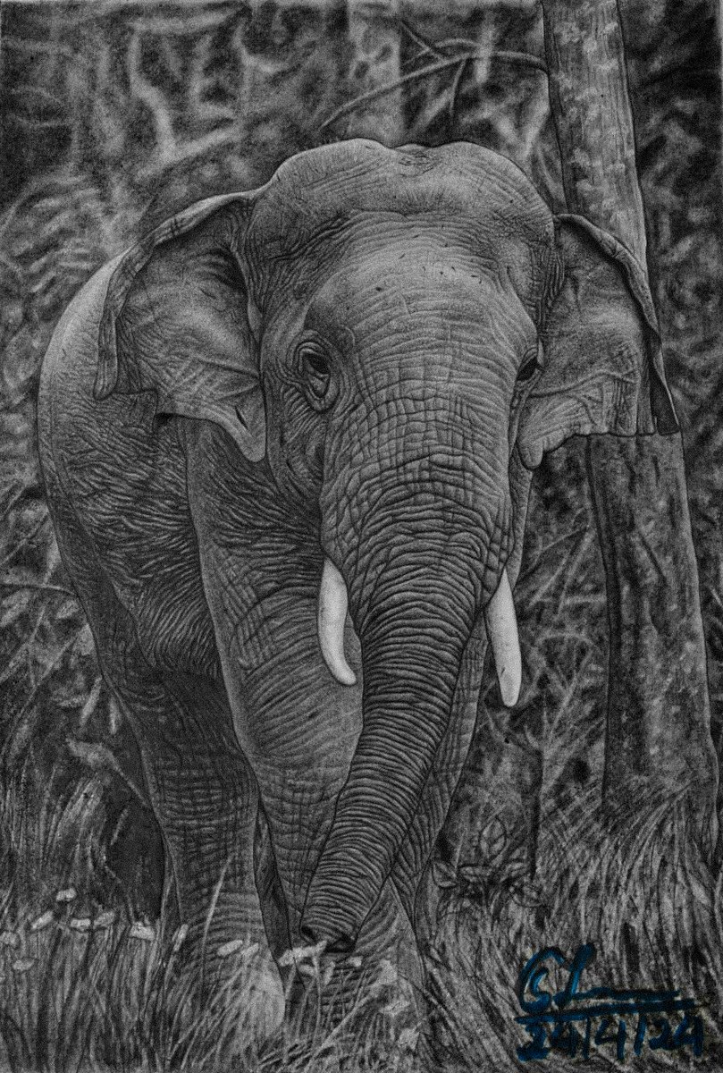 Here is my New Pencil Artwork of a Elephant😊😊
Please share your valuable feedbacks and comments😊❤️❤️❤️