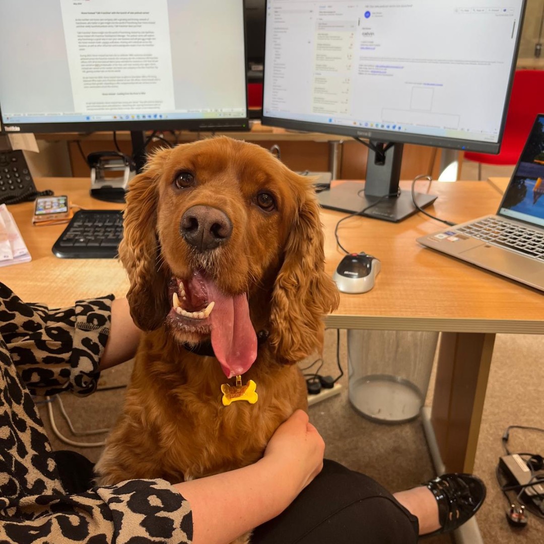 Yesterday we had a furry visitor, Buddy, in the office🐶 

His tail-wagging antics and paw-sitive energy have already made our week brighter!

Who else agrees that having pets in the workplace is the ultimate mood-booster? 

#officedog #moodbooster #officelife #CalvinMarketing