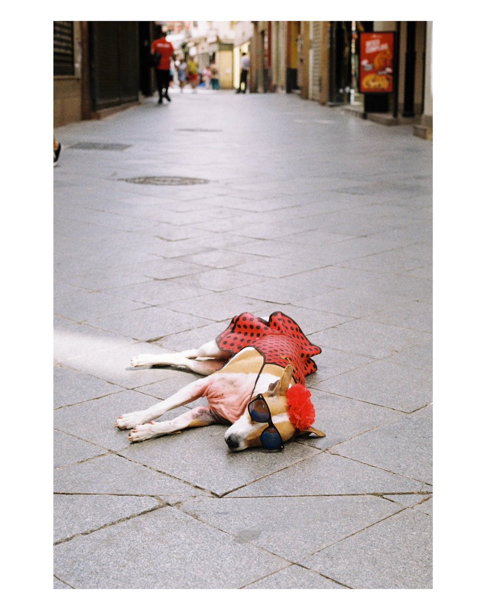 The April Fair, Seville
#35mm #kodakgold200