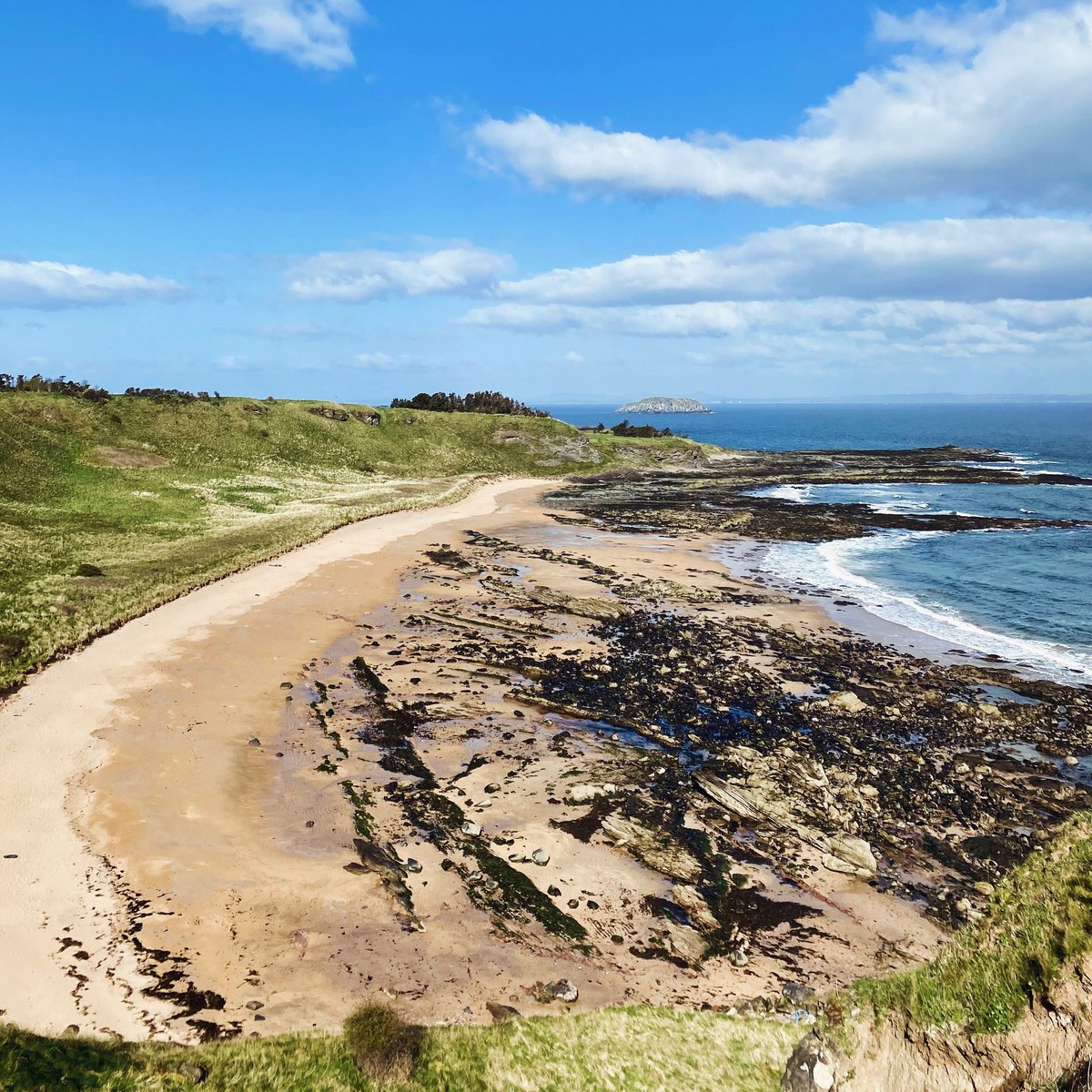 greengage design tweet media