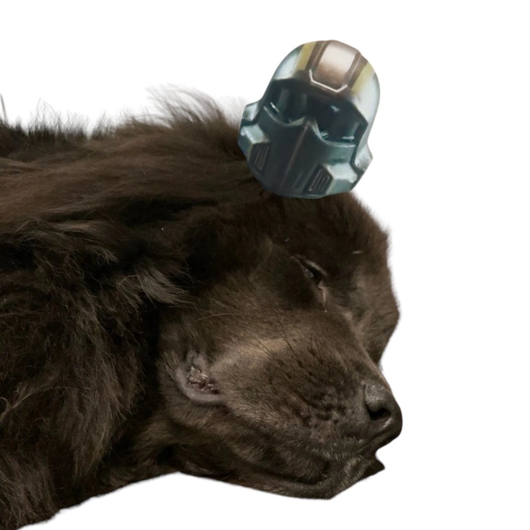 Goodbeard tweet media