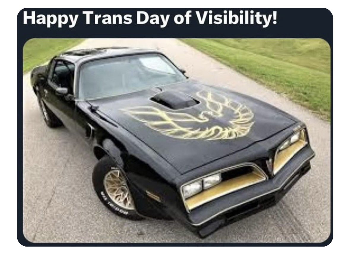 The only Trans Day I recognize! ⬇️⬇️⬇️⬇️⬇️⬇️⬇️⬇️⬇️⬇️