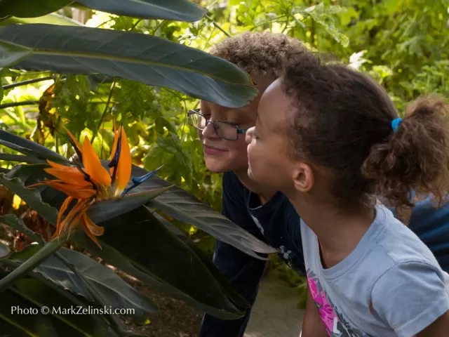 This is your invitation to explore @RBGcanada, Canada's largest garden sanctuary! With 27km of trails winding through lush landscapes, there's always something new to discover. rbg.ca/gardens-trails/