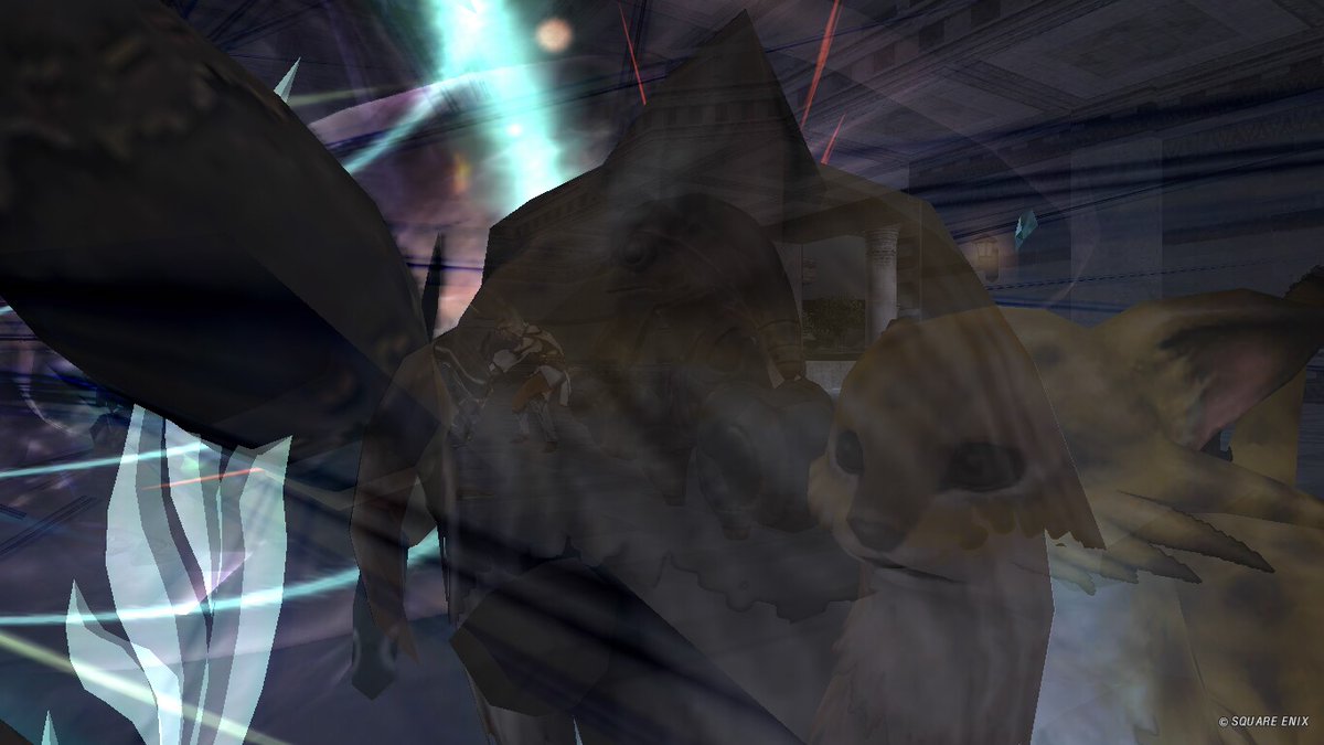 nyaaaBoss tweet media