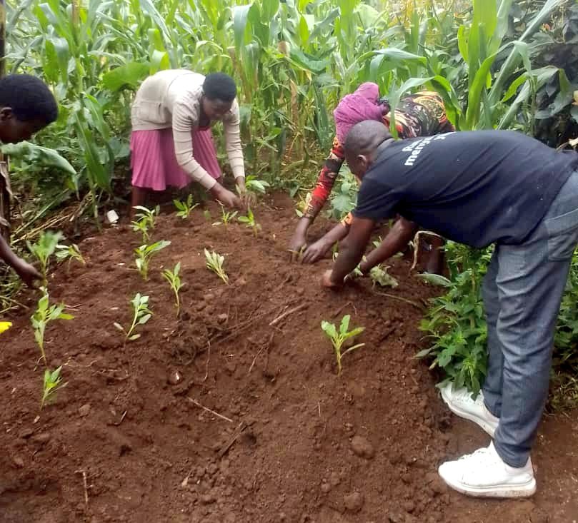 GicumbiN's tweet photo. Nyuma yo Gukora umuganda wo kubaka umurima w'imboga Urubyiruko rwa @GicumbiDistrict #Mukarangesector Nabo basuye urugo Mbonezamikurire
Mukagali ka #Mutarama Umudugudu wa #Murara
Aho batanze ikiganiro Kuri
Service mbonezamikurire y'abana bato,Isuku no gutegura indyo yuzuye. https://t.co/nYVnNXMbw5