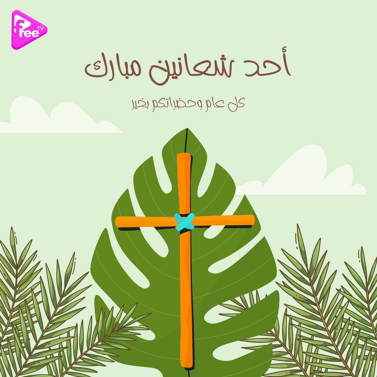 أحد سعف مبارك 🌿🌴
كل عام وحضراتكم بخير 🤍
 #فري_تي_ڤي