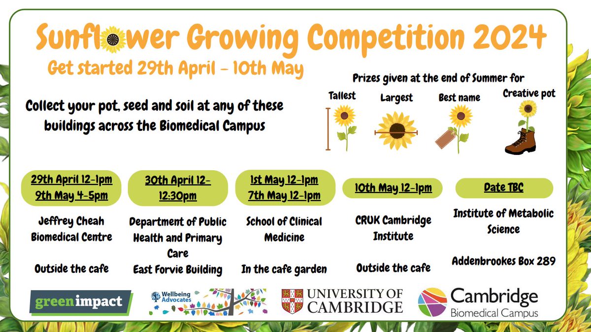 This summer we challenge you to grow your own sunflower to brighten up your workplace!🌻 Sunflower Growing Competition 2024🌻 Get started next week!🌻