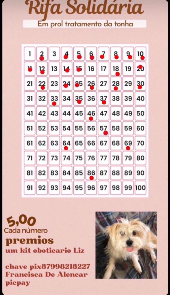 biamedstudy's tweet image. oi gente, a cachorra da minha amg ta internada em estado grave, acabou de fazer uma transfusão de sangue e tem 4 tipos de doença do carrapato, quem puder ajudar vou ficar muito grata

infelizmente acredito que não conseguimos pagar o frete para lugares muito longe, mas quem puder