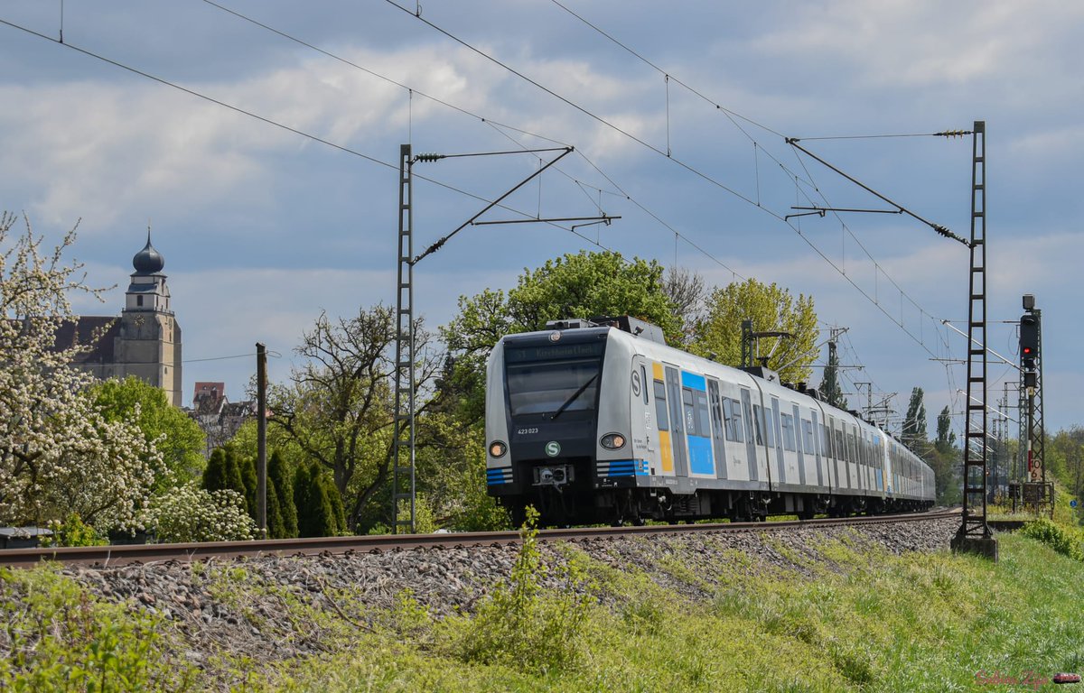 #Herrenberg,
eine #Dreifachtraktion (Langzug) der #BR423 in 'S-Bahn Pur' #Design geht es als S1 von Herrenberg über Nufringen, Gärtringen, Stuttgart Hbf (tief) und Plochingen nach Kirchheim (Teck). Hier beim verlassen von Herrenberg😍

#bwegtbw #Bahn #Eisenbahn #Triebwagen #sbahn