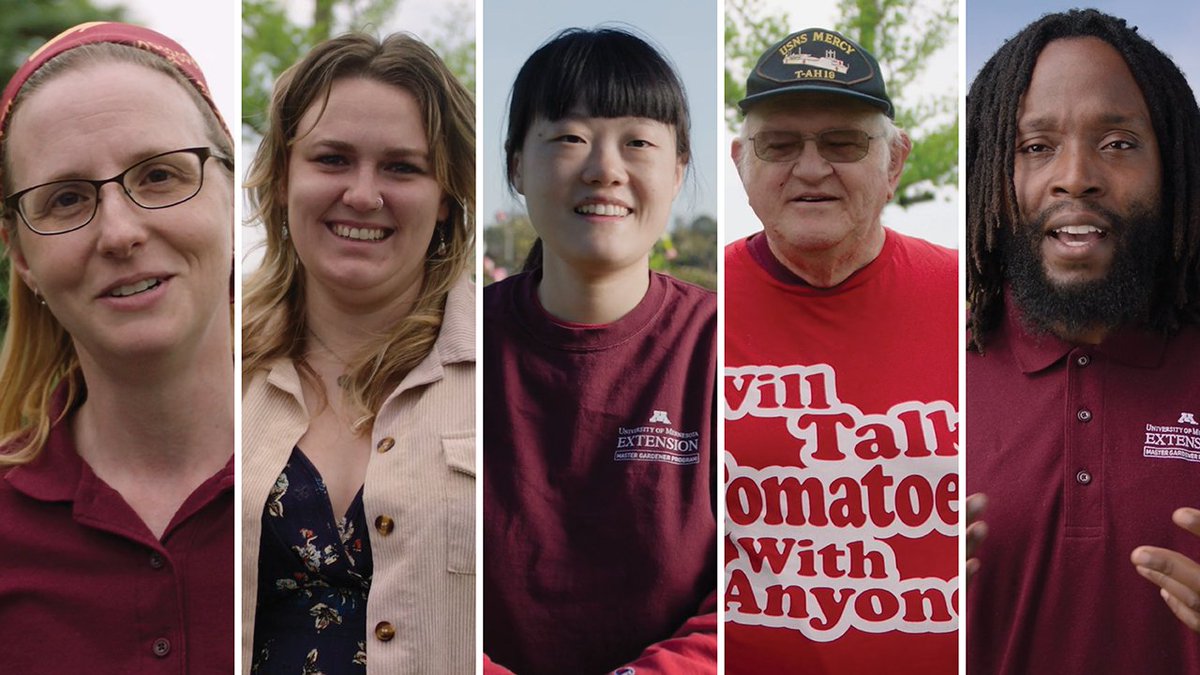What’s it like to be a <a href="/UMNExt/">U of MN Extension</a> #MasterGardener? Hear #volunteers from every corner of #Minnesota share their experiences and give an overview of the program. Growing with <a href="/mnarboretum/">University of Minnesota Landscape Arboretum</a>! youtube.com/watch?v=Z86LcQ…