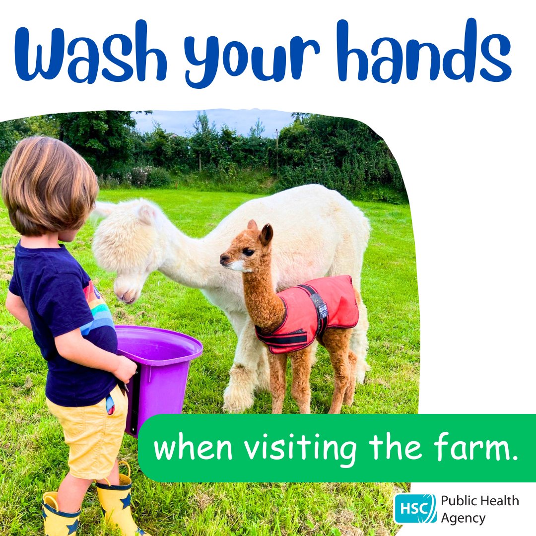 The PHA is reminding parents about hand washing while visiting open farms. Farm animals can be the source of several bugs that can be passed from animals to humans and cause illness. Some can be particularly serious for children or pregnant women. #washyourhands