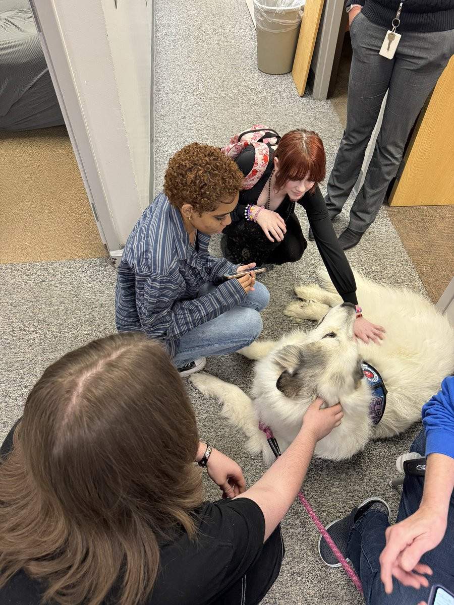 swartz_creek's tweet image. Mid Michigan therapy dogs are at Swartz Creek High today, offering surprise support to students and staff! Find Linda and Trouble in the SCHS HUB for some comfort. 🐾 #AngelsWithPaws #TherapyDogs #SupportDogs