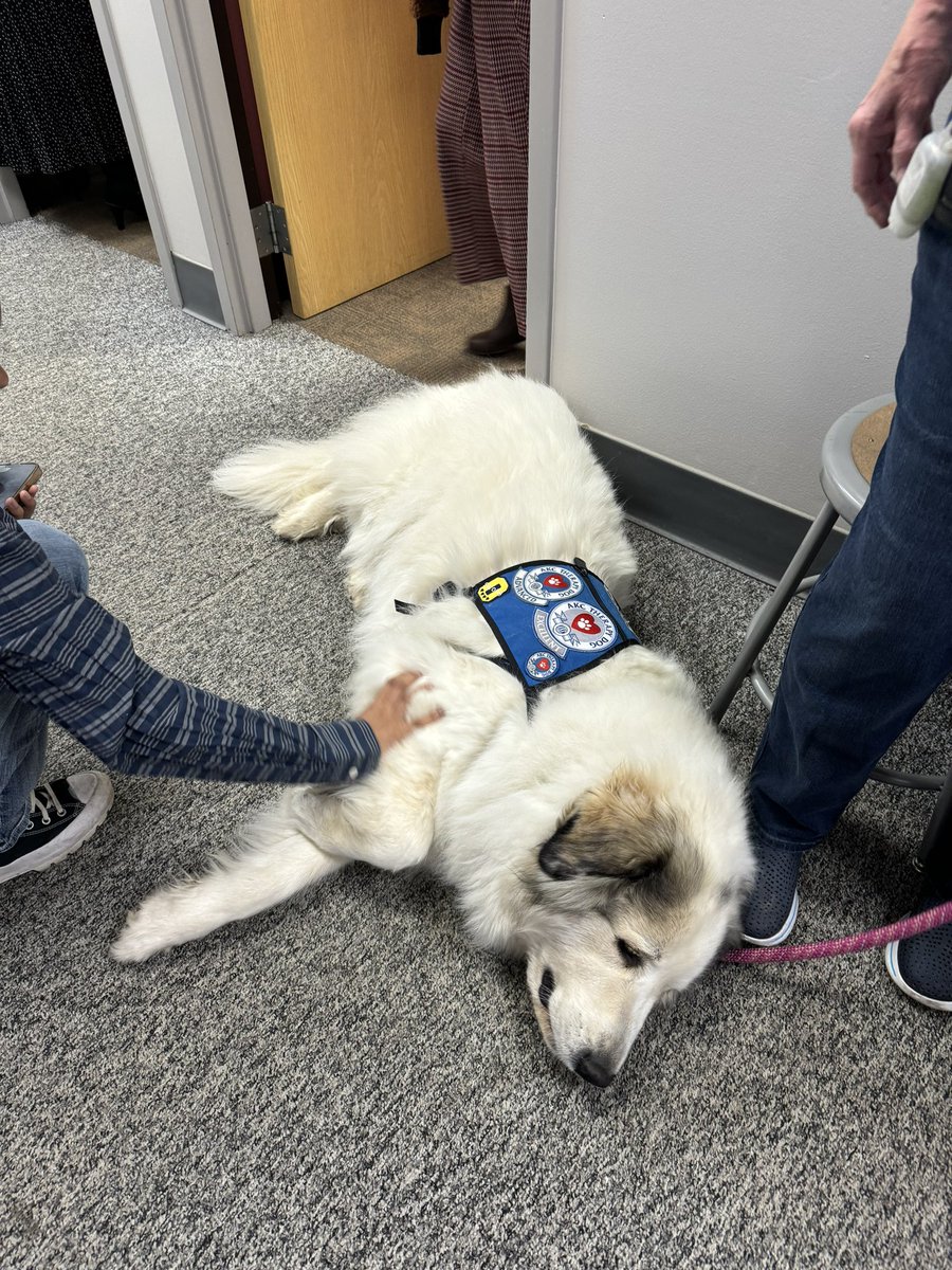 swartz_creek's tweet image. Mid Michigan therapy dogs are at Swartz Creek High today, offering surprise support to students and staff! Find Linda and Trouble in the SCHS HUB for some comfort. 🐾 #AngelsWithPaws #TherapyDogs #SupportDogs