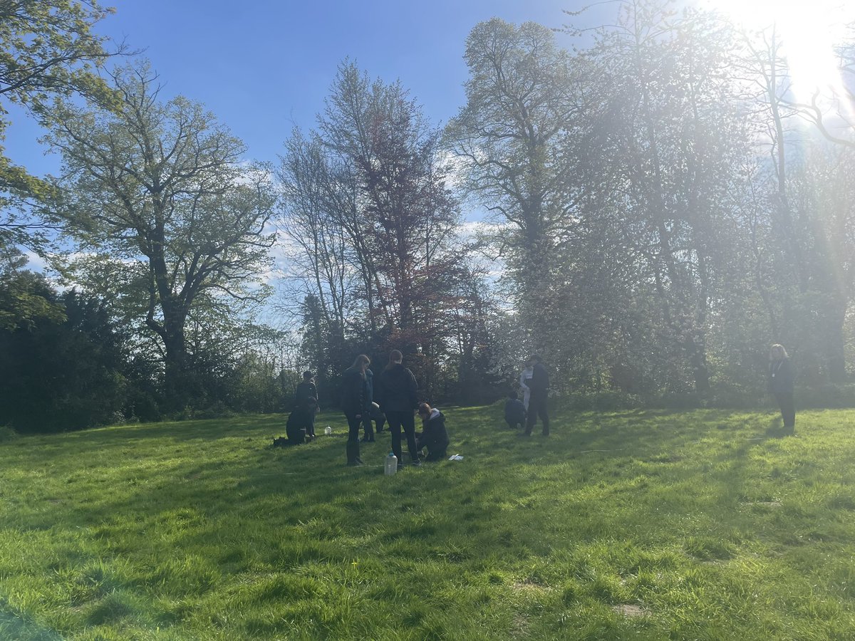 What a glorious afternoon 🌞