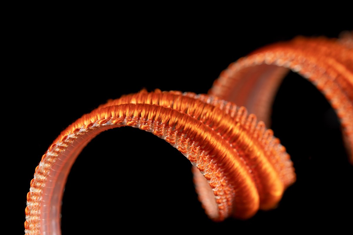 📸 Technische Textilfotografie

#TechnischeTextilien #Produktfotografie #Werbeaufnahmen #Fotostudio #HighEndBildbearbeitung #Textilfotografie #Werbung #InnovativeMaterialien #Präzision #Qualität #Kunst #FlorianWachter
