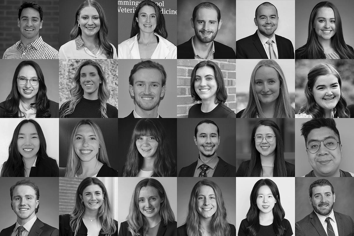 Each year, @TuftsMedSchool Graduate Programs nominate students for various awards to recognize high academic achievement, outstanding dedication to their professional fields, and remarkable dedication to the community. Meet the 2024 recipients: ⬇️ brnw.ch/21wJ8x0