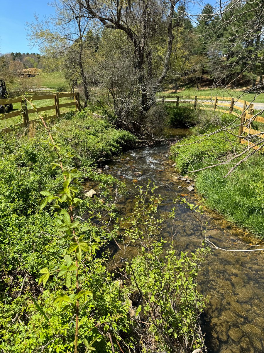 floydfest's tweet photo. #spring
#sprung
#FestivalPark
#FloydCountyVA
#FloydFest
#home
#soon
#LoveVA
#yyr
91 days … https://t.co/kVxEB6iNyj