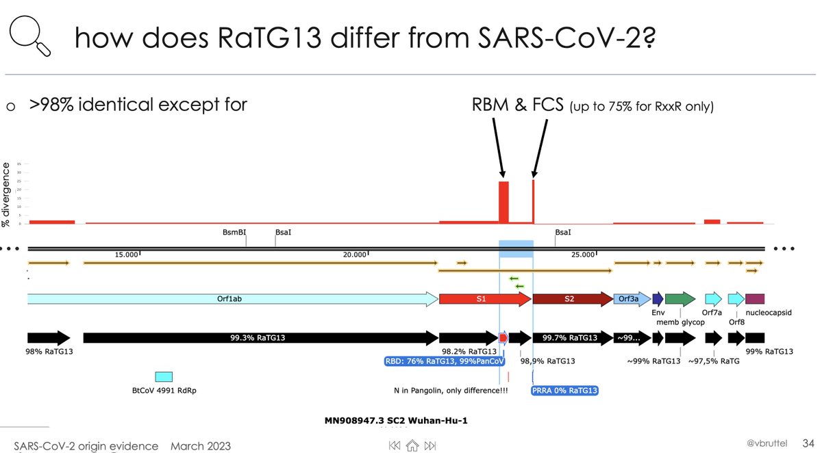 @alchemytoday @mbw61567742 @gadboit @ban_epp_gofroc Their inclusion criterion was <5% nucleotide variation. that includes SARS2, RaTG13, a lot of the Banal viruses even if you don't exclude the likely inserted RBD and FCS.
easy to find examples for most of the sites you want to add or remove within <5% identical viruses.