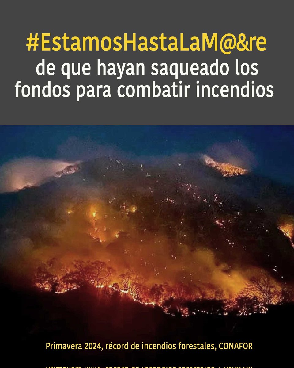 #EstamosHastaLaMadre tweet media