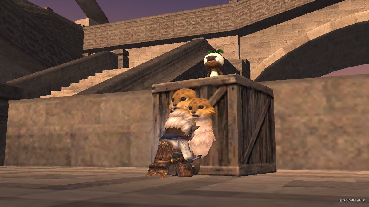 nyaaaBoss tweet media