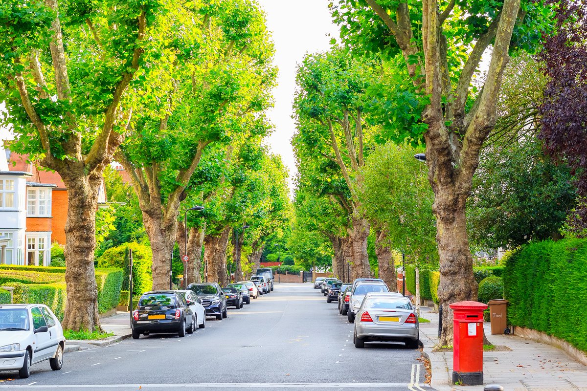 DYK trees have a hidden superpower? Noise reduction 🔊 Trees work like natural sound barriers, soaking up and blocking out all that noisy urban chaos. The result? A serene and peaceful environment that's perfect for unwinding and relaxing.