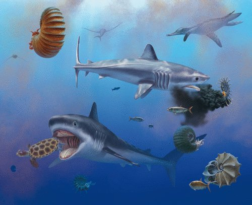 If you are a fan of #ammonites, you may not want to know that a deduction from well-preserved shark fossils is that the Cretaceous elasmobranch Ptychodus may have fed predominantly on free-swimming hard-shelled prey items such as ammonites & sea turtles
royalsocietypublishing.org/doi/abs/10.109…