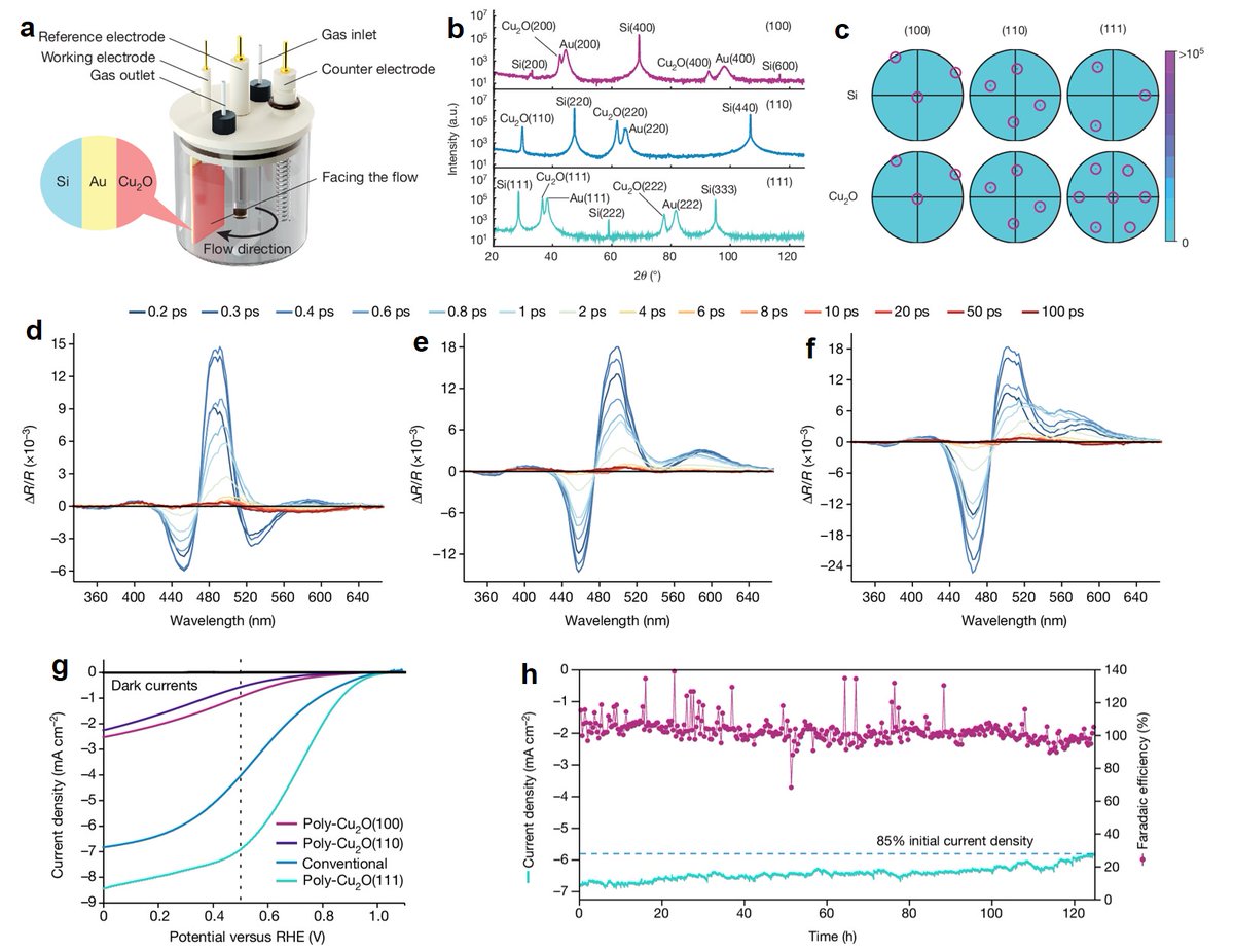 Latest advance in Cu2O photocathodes for solar water splitting! nature.com/articles/s4158…