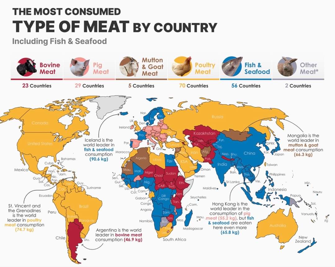 India's seafood surprise! So poultry industry isn't big enough?