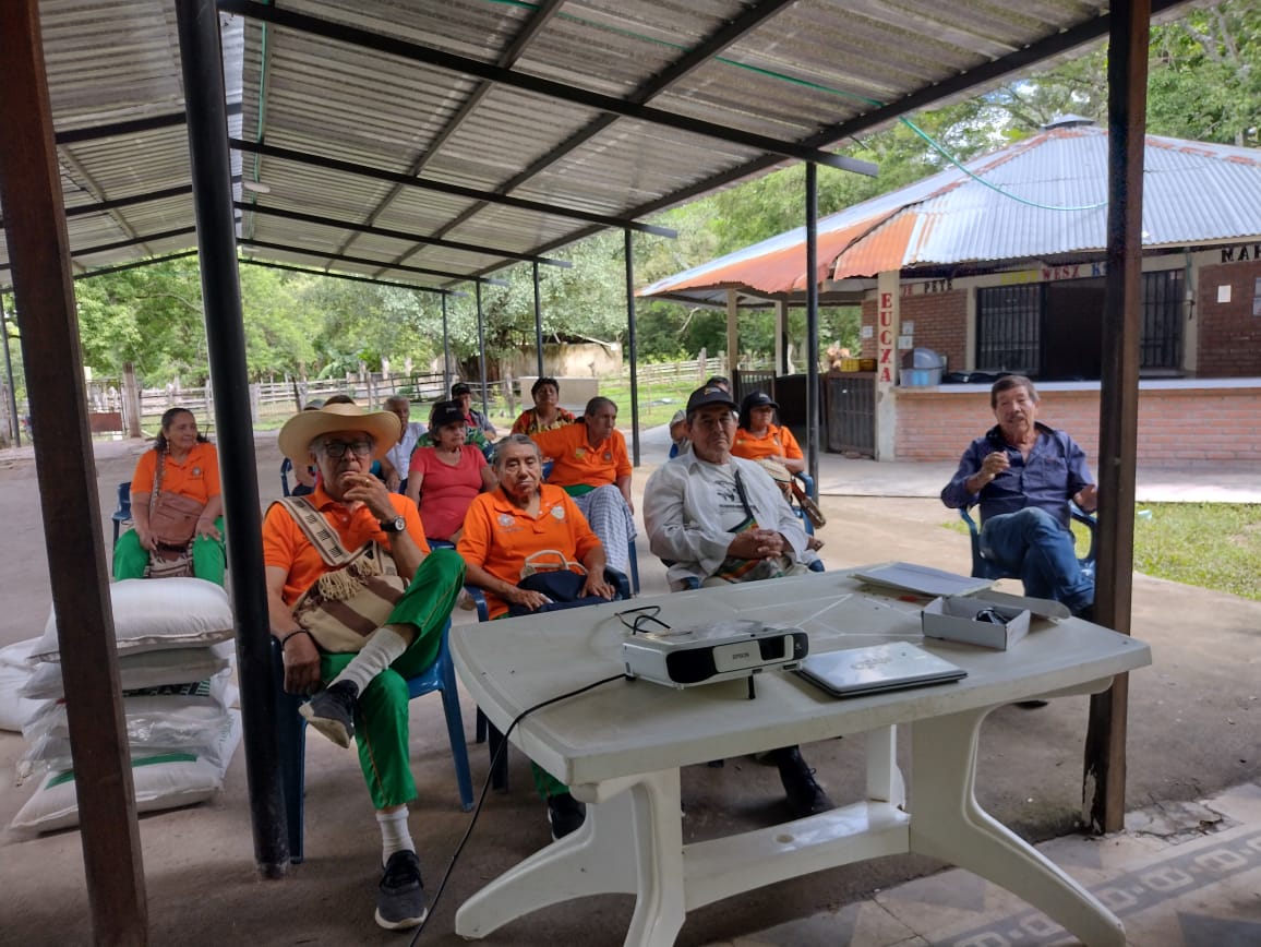 Los alumnos realizaron caricaturas y dibujos con mensajes ecológicos, resaltando la importancia del trabajo en equipo para proteger la casa común.