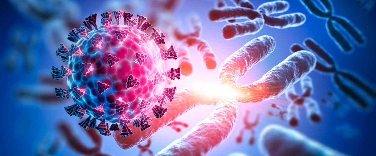 Hollandalı bilim insanları yakın zamanda ölen 72 yaşında bir hastanın, 613 gün boyunca Covid-19'u atlatamadığını bildirdi. 

📌Yaşlı adamın gen dizilimi üzerinde yapılan analiz sonucunda vücudundaki virüsün 50 kez mutasyona uğradığı ortaya çıktı.