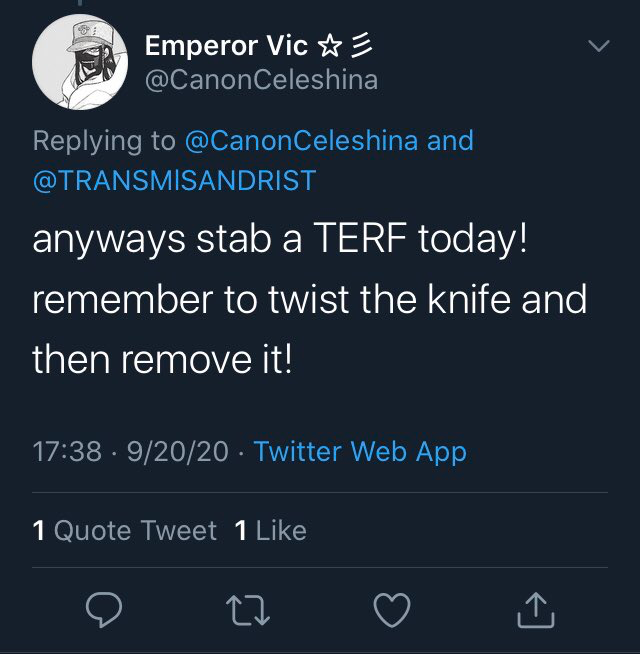 OldS0ULNewWorld's tweet image. Yes, there's an overwhelming amount of evidence to sift through &amp;amp; I shared just tiny sample of #transpredators threatening &amp;amp; preying upon others. I honor the 10 Commandments.  I'm not the one viciously preying upon women &amp;amp; children. 
Only monsters say these kinds of things.⬇️