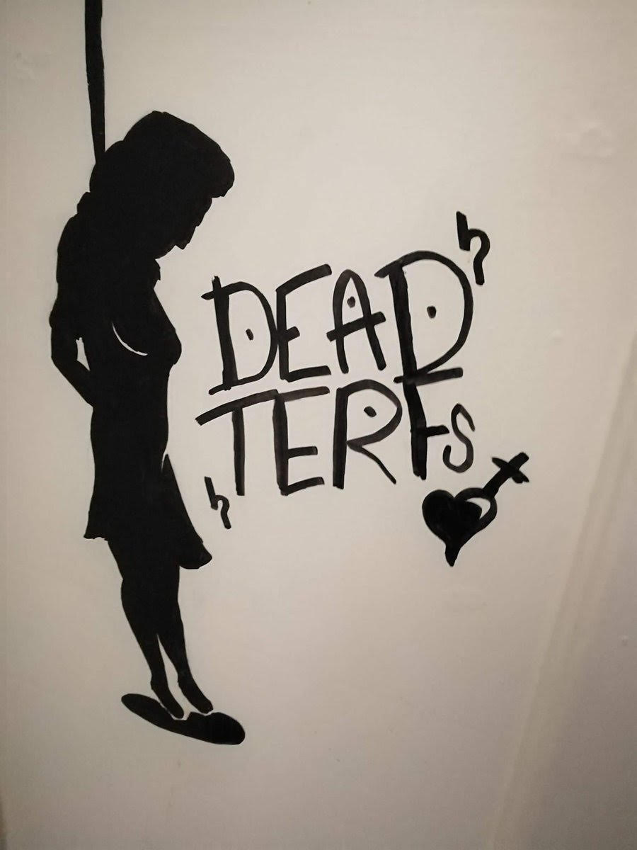 OldS0ULNewWorld's tweet image. Yes, there's an overwhelming amount of evidence to sift through &amp;amp; I shared just tiny sample of #transpredators threatening &amp;amp; preying upon others. I honor the 10 Commandments.  I'm not the one viciously preying upon women &amp;amp; children. 
Only monsters say these kinds of things.⬇️