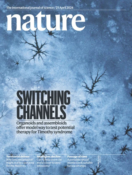 Today, I’m thrilled have our lab’s work featured on the cover of @Nature In this article, we have developed a therapeutic approach for a severe condition called Timothy syndrome. This has been a long journey. It started with making hiPS cell-derived neurons in 2D cultures 15