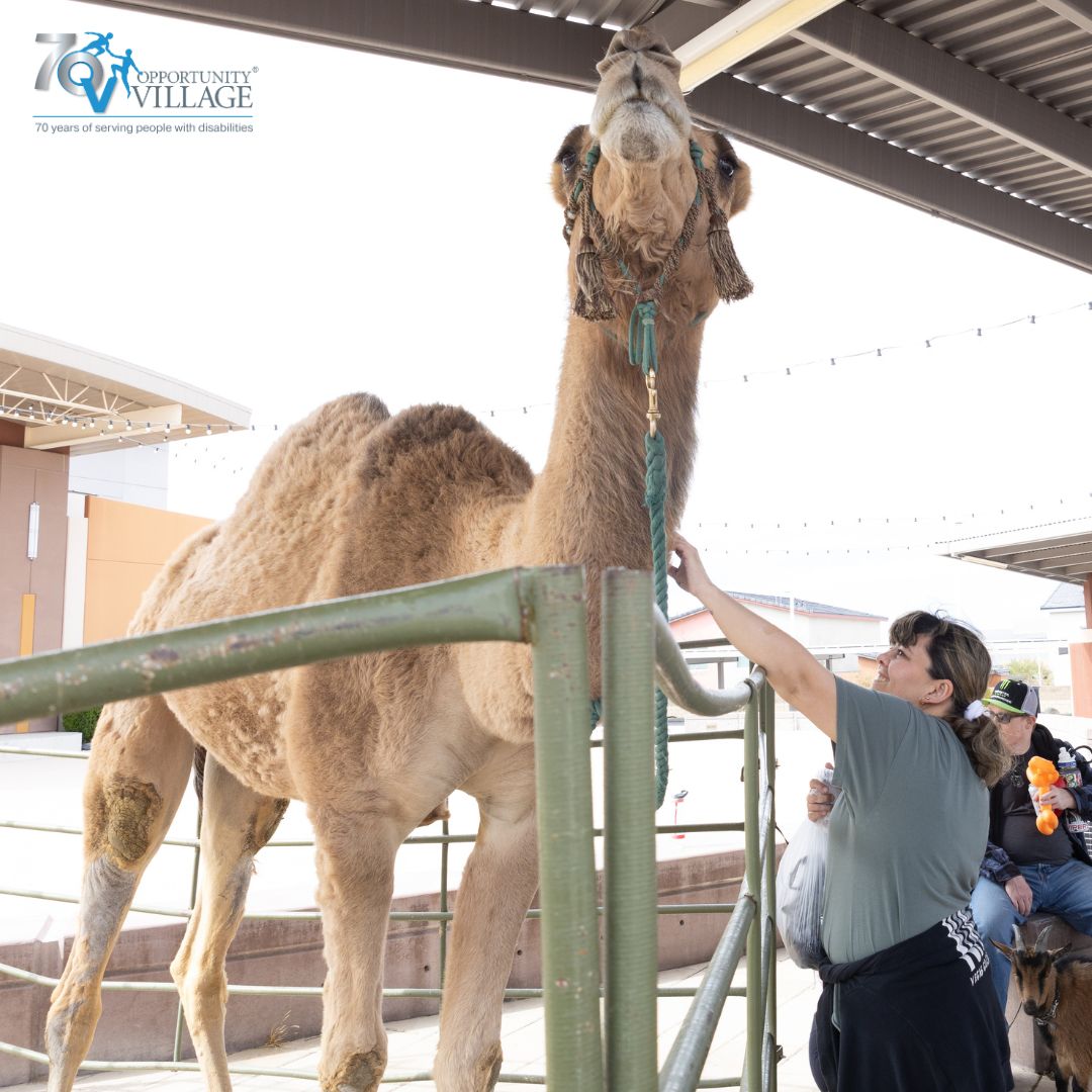 Today is the day 🐫...you made it halfway through the week! Keep it up! #Wednesday #OpportunityVillage #HumpDay #LasVegasBestNonprofit #LasVegas #OVCommunity #DisabilitySupport