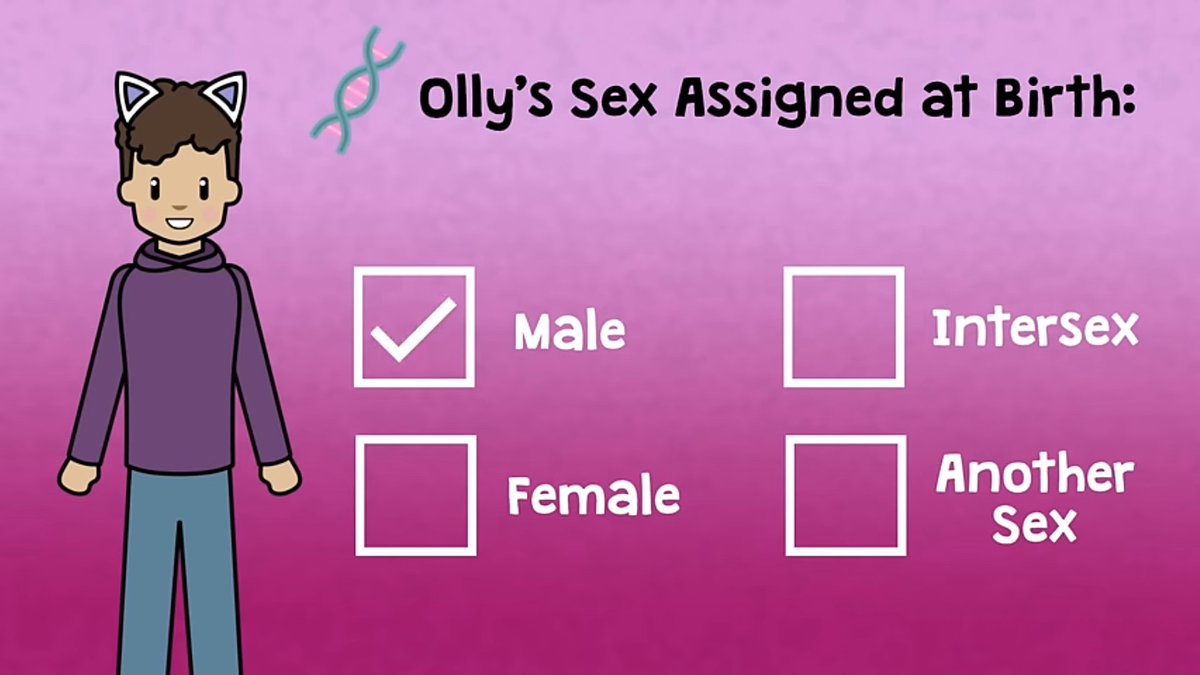 This is one of the slides shown to my kids today at school. Absolutely FASCINATED to know what 'Another Sex' is...I will be asking the teachers tomorrow. 😡😡😡